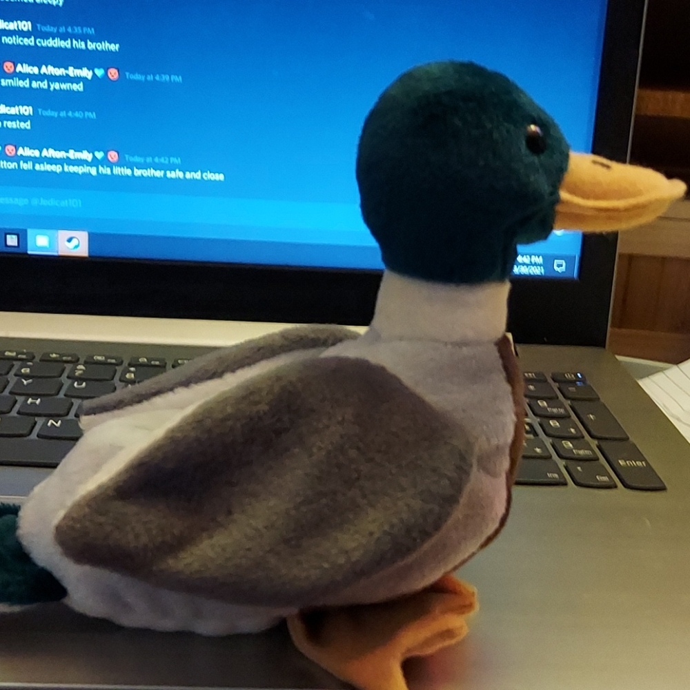 Beanie baby jack